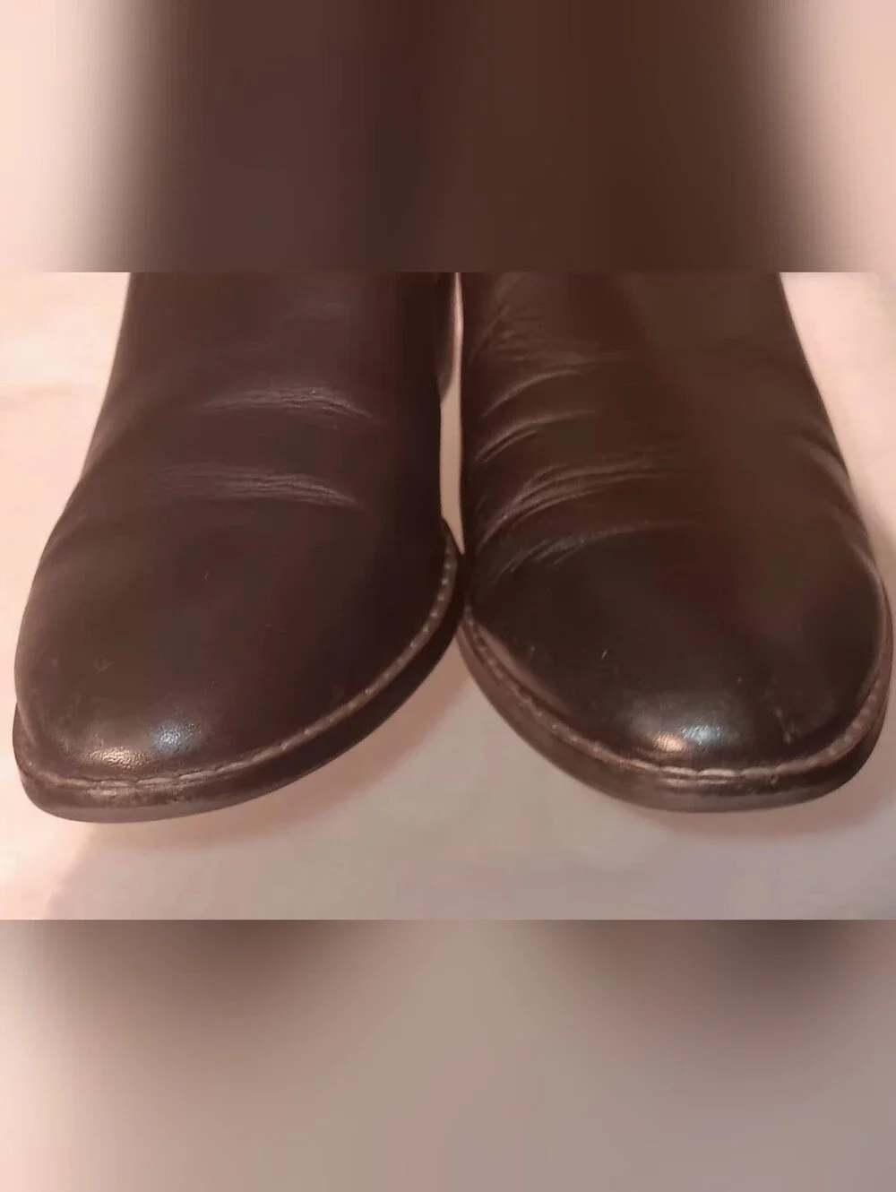 Women's Coach Ankle Boots